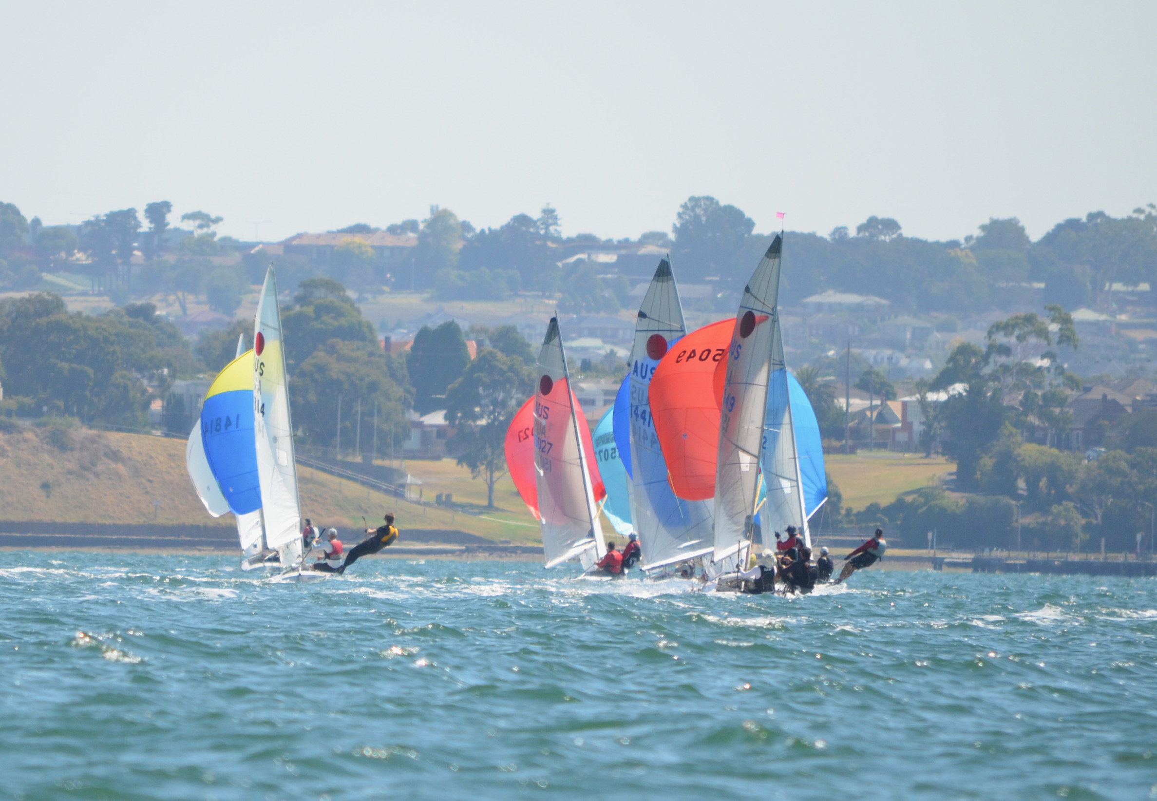 Fireballs sailing at Geelong